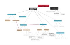 Mapa conceptual para elaborar un portafolio docente práctico  (elementos y evidencias de contenido)