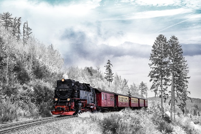 Fotografía de un tren en un paisaje invernal
